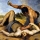 Transcending Cain and Abel: Revolutionary and Reactionary Consciousness